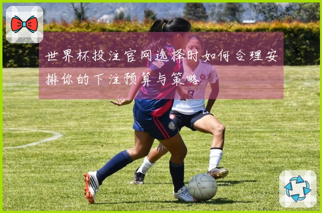 世界杯投注官网选择时如何合理安排你的下注预算与策略