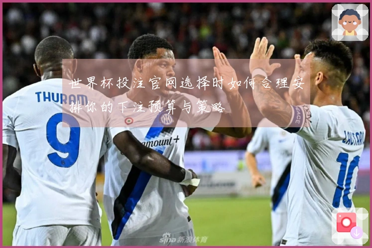 世界杯投注官网选择时如何合理安排你的下注预算与策略